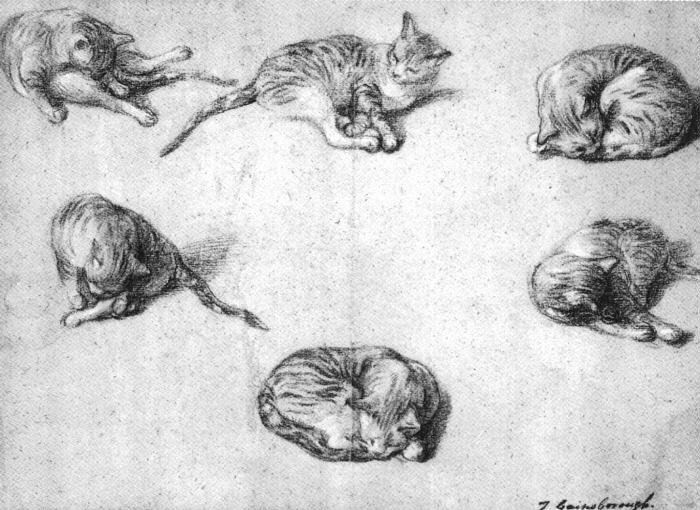 Studies of a Cat